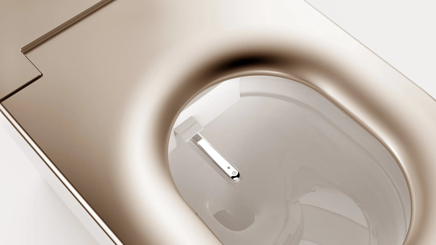 SEEWIN Bidet Toilet Leipzig Pro-Gold with Gold Seat Gold Trim and Full Features CL5-G SEEWIN Bidet