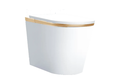 SEEWIN Leipzig CL5-G gold smart bidet toilet, product image 5