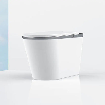 SEEWIN Leipzig CL6-G silver smart bidet toilet, product image 3