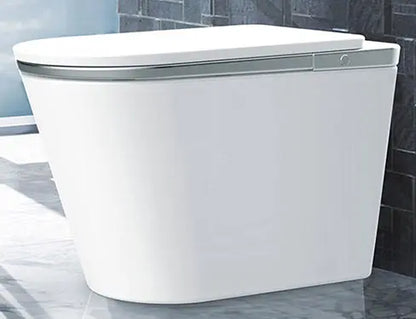 SEEWIN Leipzig CL6-G silver smart bidet toilet, product image 4